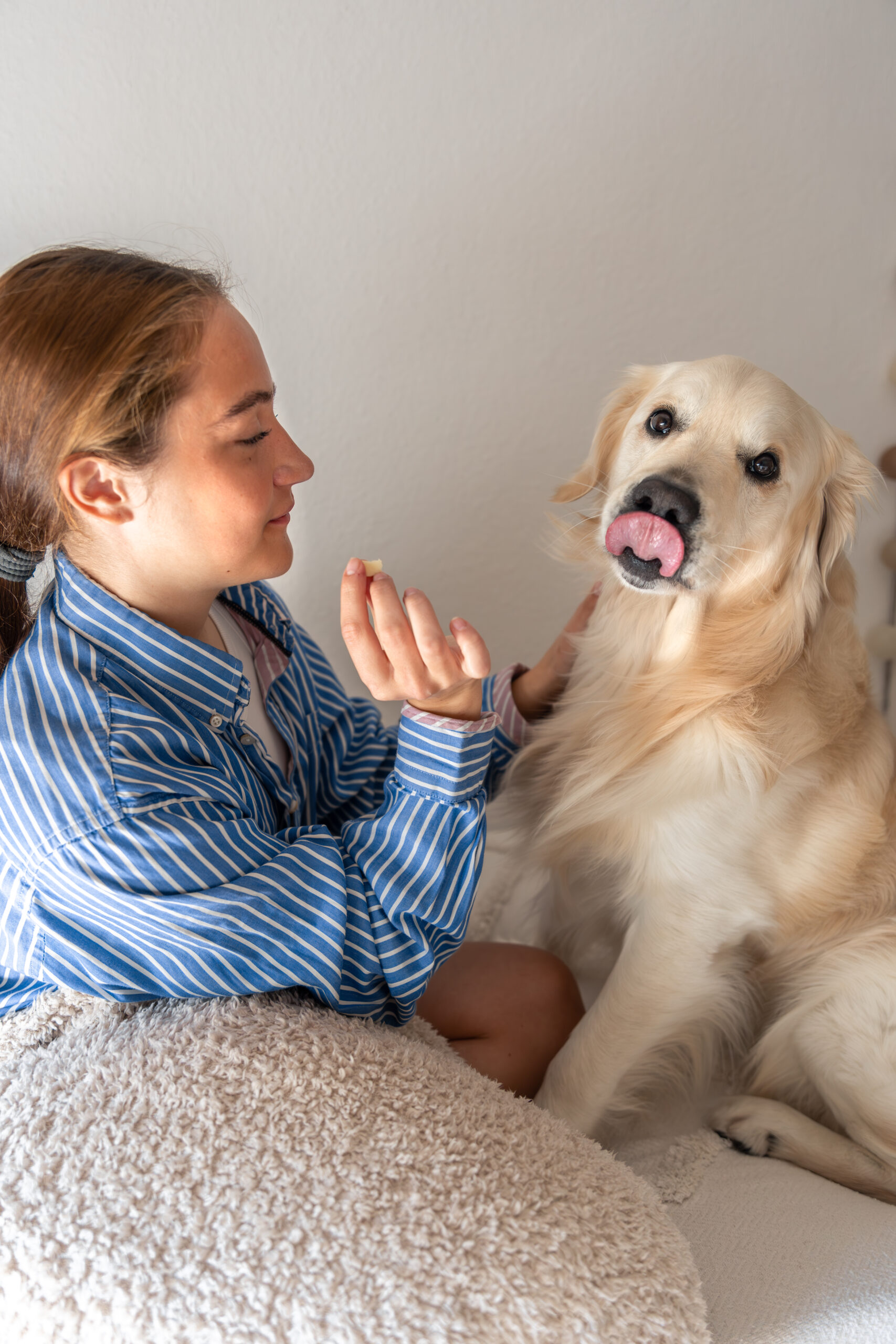 Cute teenage girl with a dog. Pet. Girl playing with her pet dog at home. High quality photo. Pet friendly. Love domestic animals.