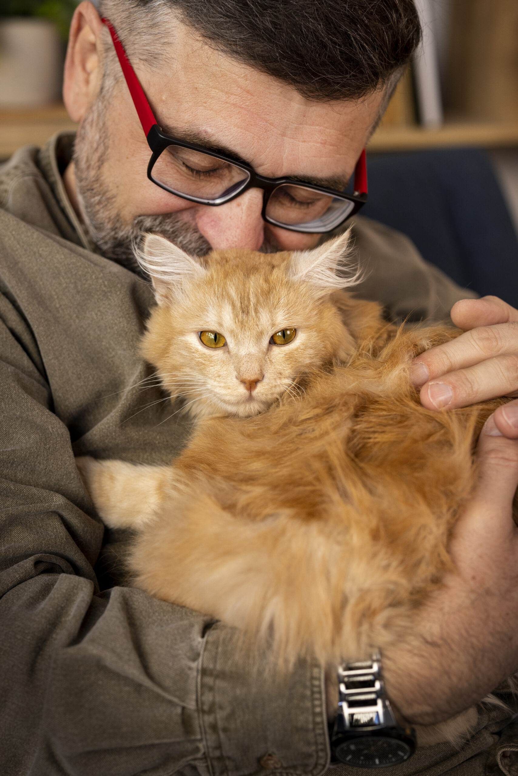 elderly-person-with-pet-cat