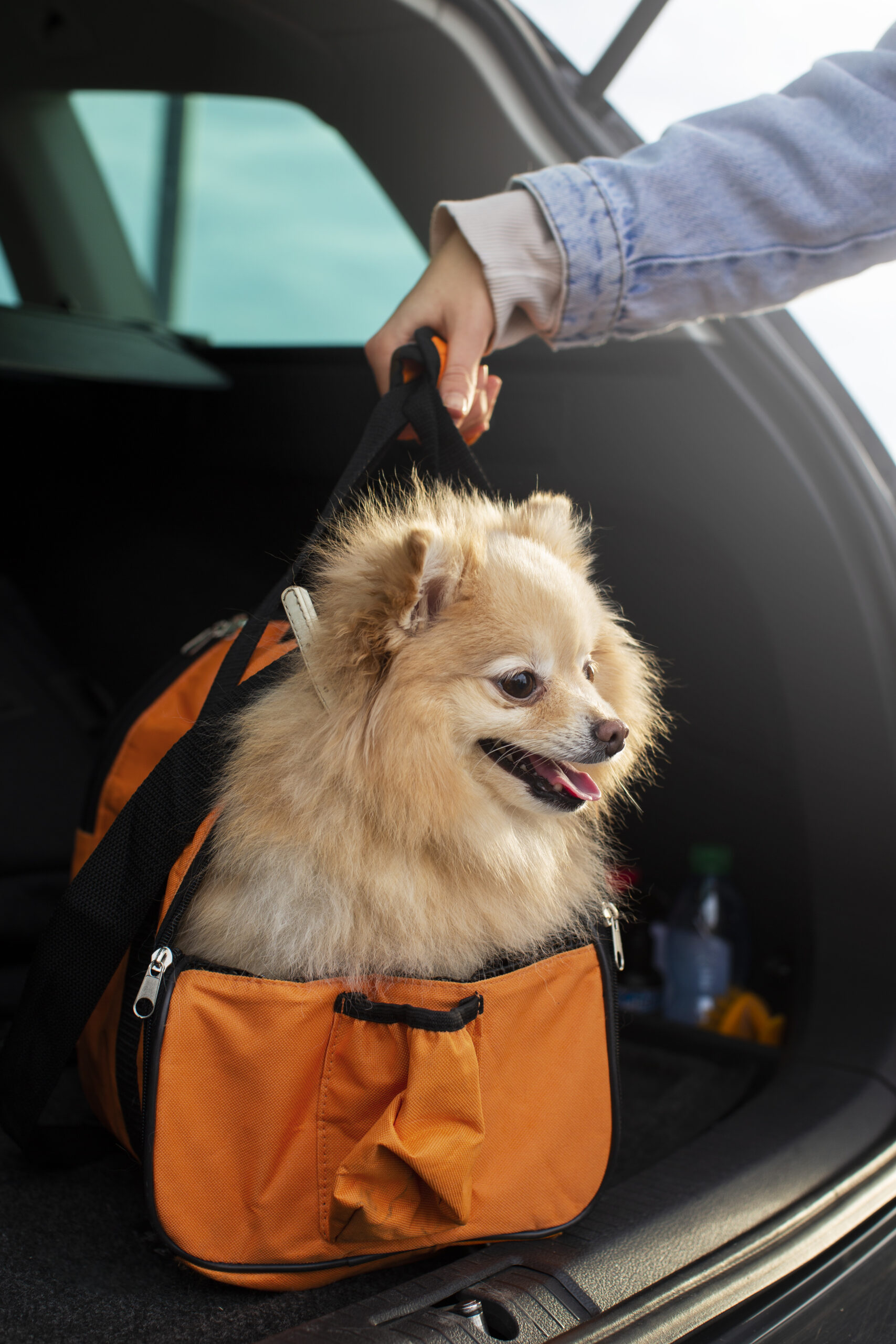 hand-holding-bag-with-dog (1)