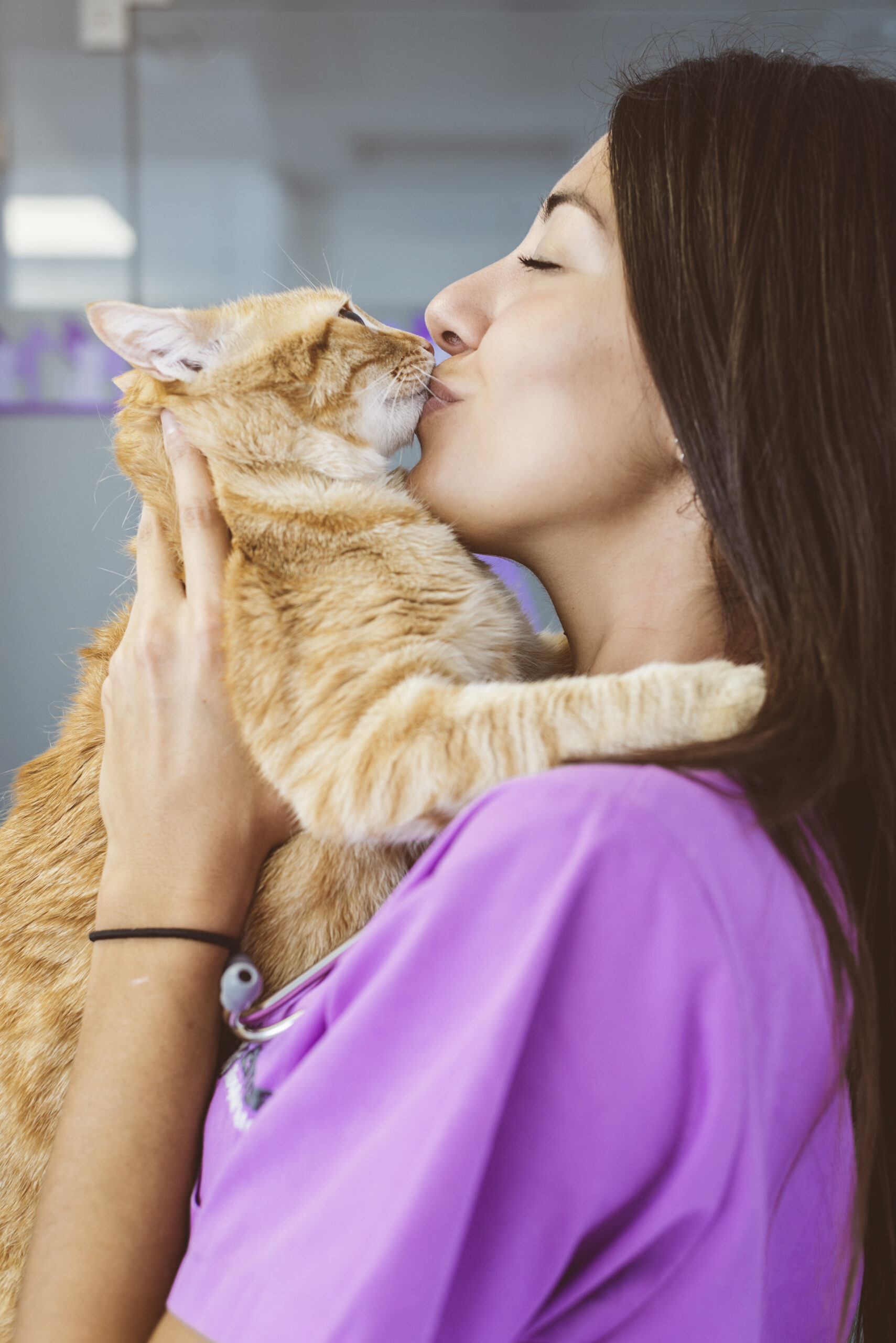 Veterinarian doctor kissing a little cat. Veterinary Concept.