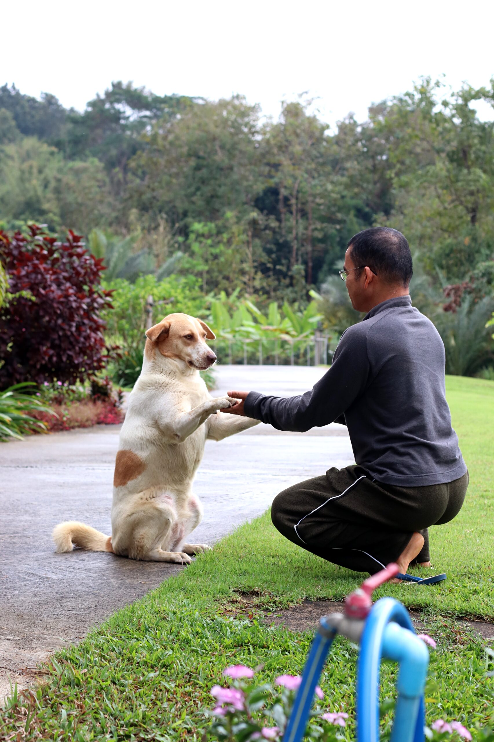man-crouching-by-dog-yard