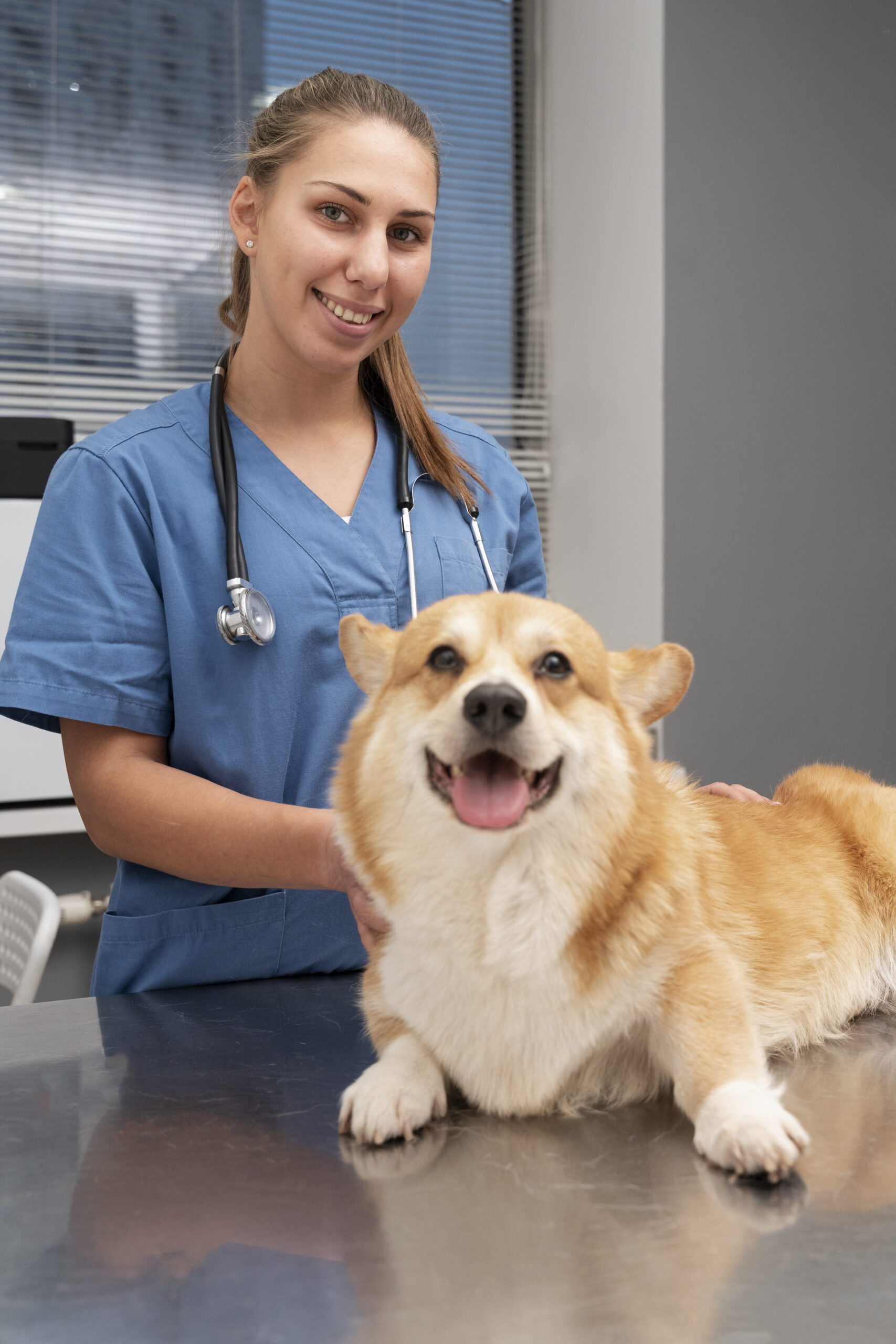 veterinarian-taking-care-pet-dog
