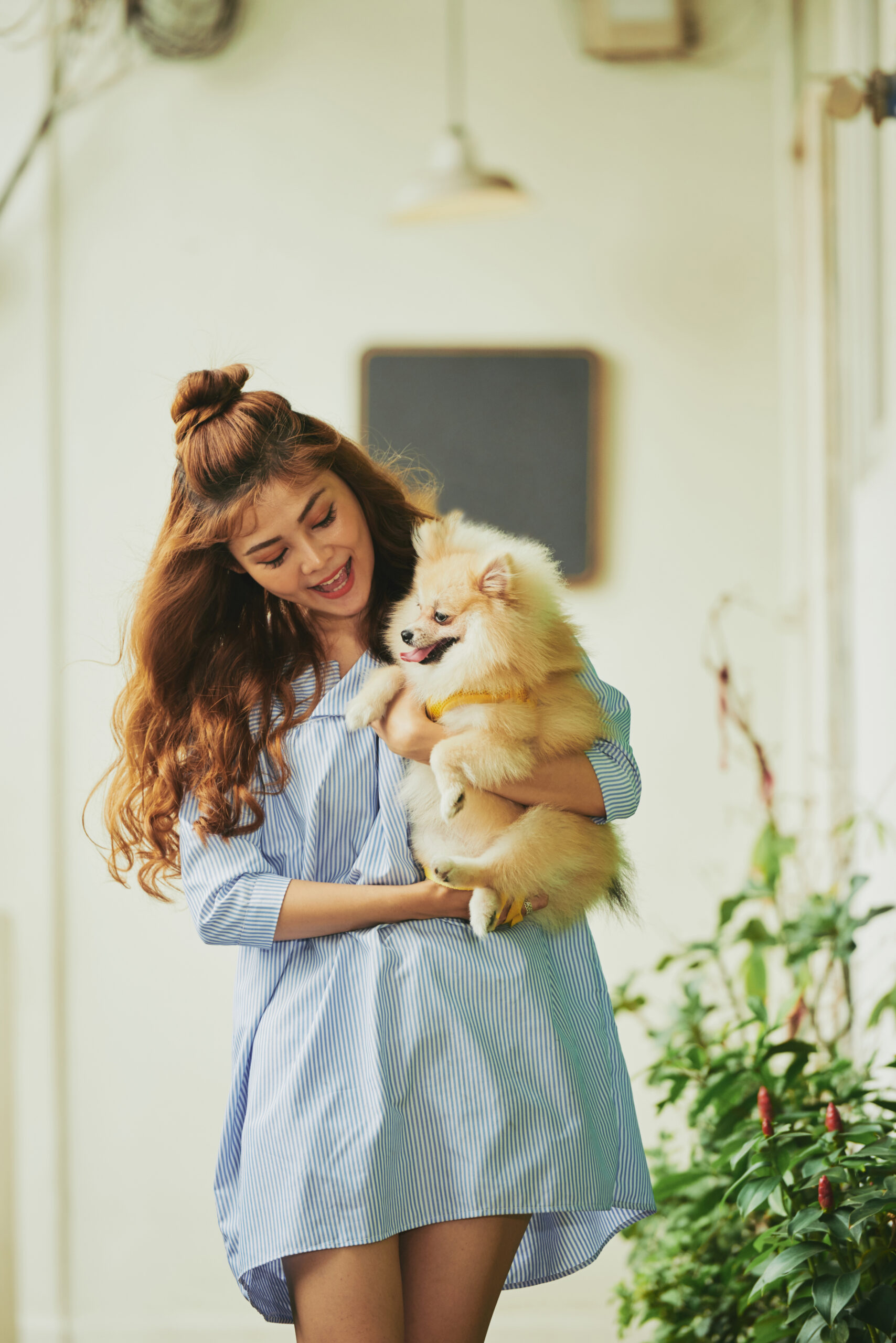 Portrait of cheerful Asian girl carrying her little dog