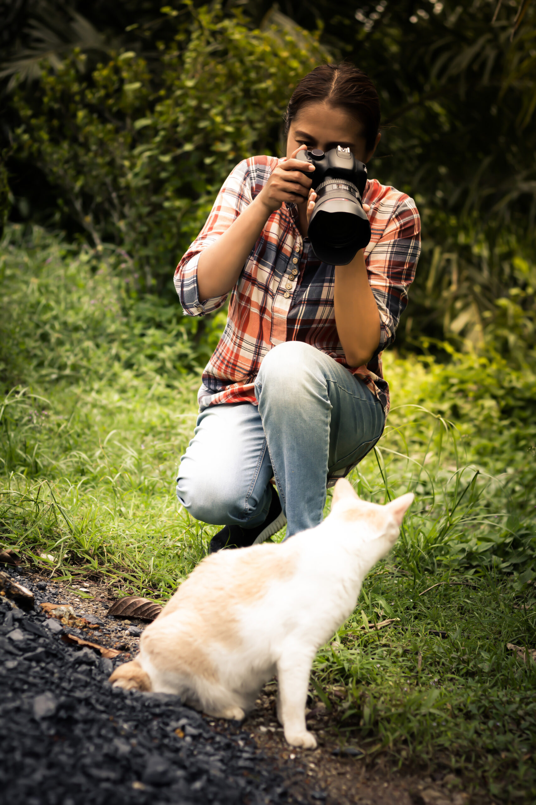 woman-photographing-cat-grassy-land
